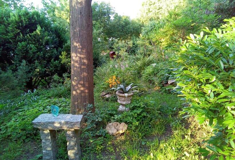 Pension Baron Schoeneck