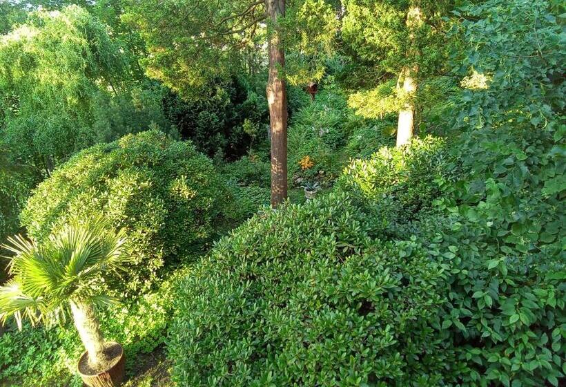 Pension Baron Schoeneck