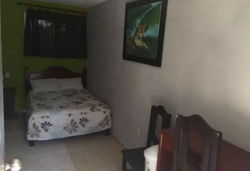 هتل Andreas Tulum