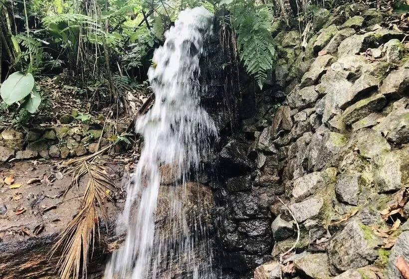 ホテル Bosques Do Massaguaçu