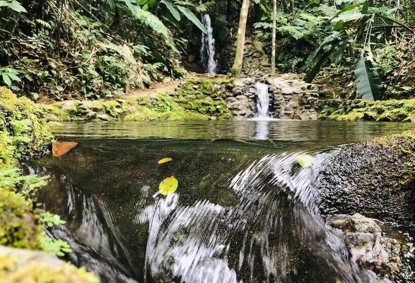 ホテル Bosques Do Massaguaçu