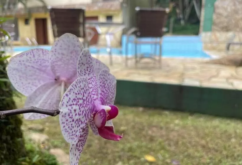 Hotel Pousada Canto De Itamambuca