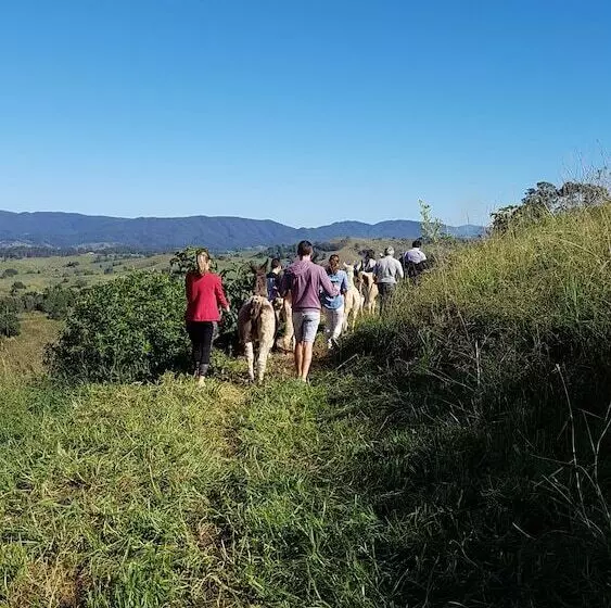 Hotelli Dayboro Cottages