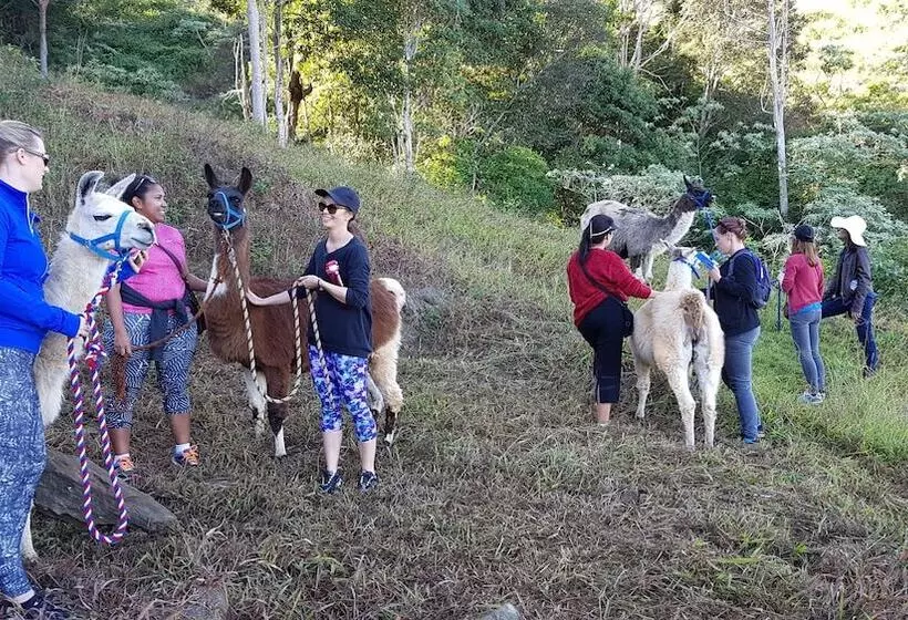 Hotelli Dayboro Cottages