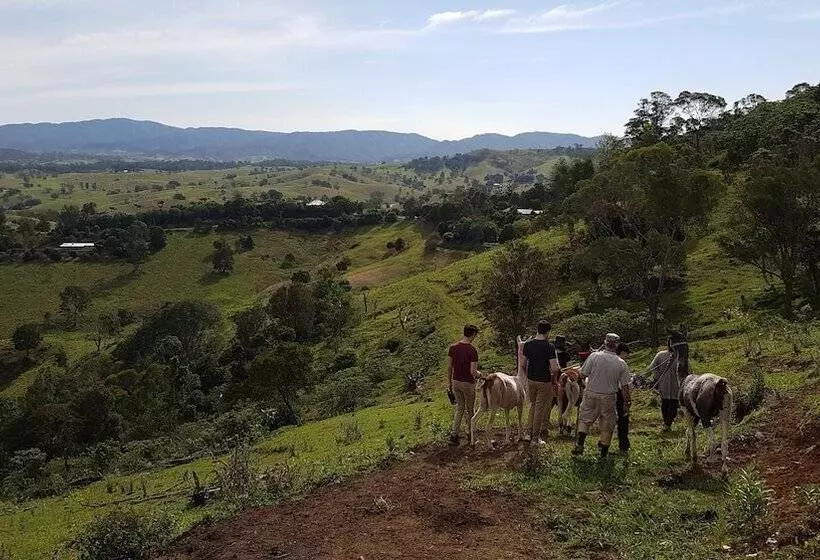 Hotelli Dayboro Cottages