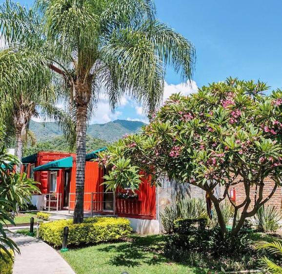 Отель Del Pescador