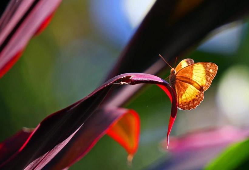 Отель Eden House Retreat