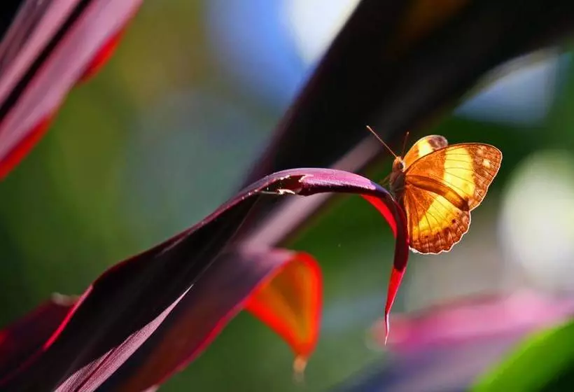 Отель Eden House Retreat