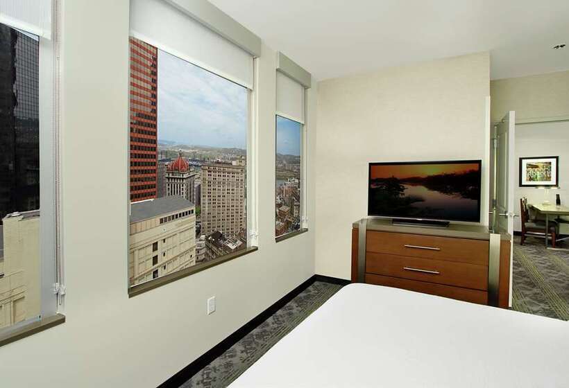 酒店 Embassy Suites By Hilton Pittsburgh Downtown