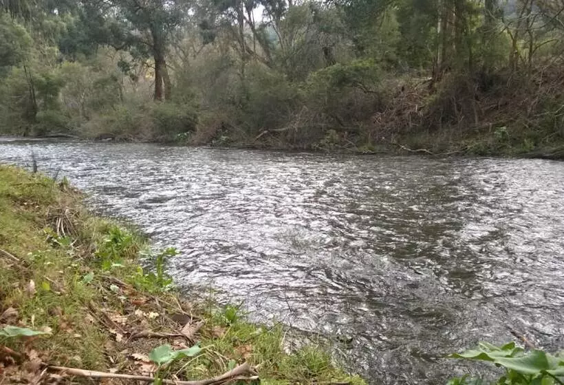 ホテル Oscar S On The Yarra