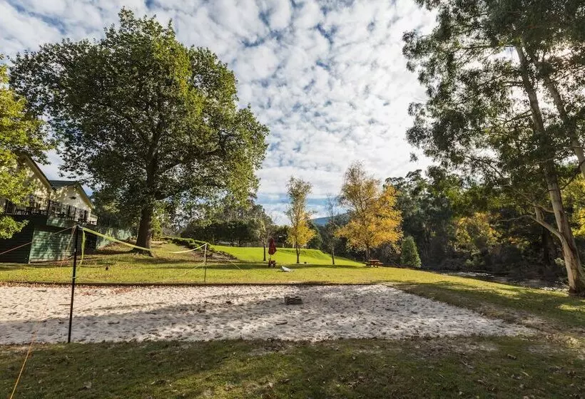 ホテル Oscar S On The Yarra