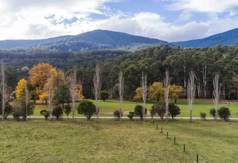 ホテル Oscar S On The Yarra