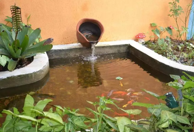 ホテル Pousada Canto Das Estrelas Maresias