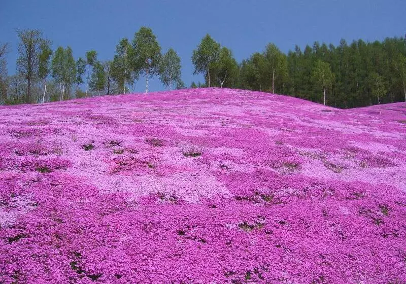 Takinoue Hotel Keikoku