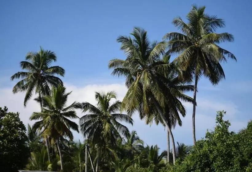 Terrace Green Hotel & Spa