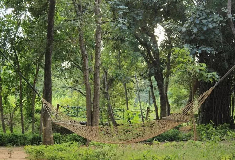 فندق Tiger Trails Resort