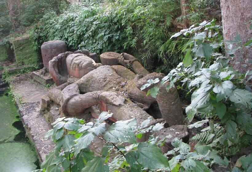 ホテル Tiger Trails Resort