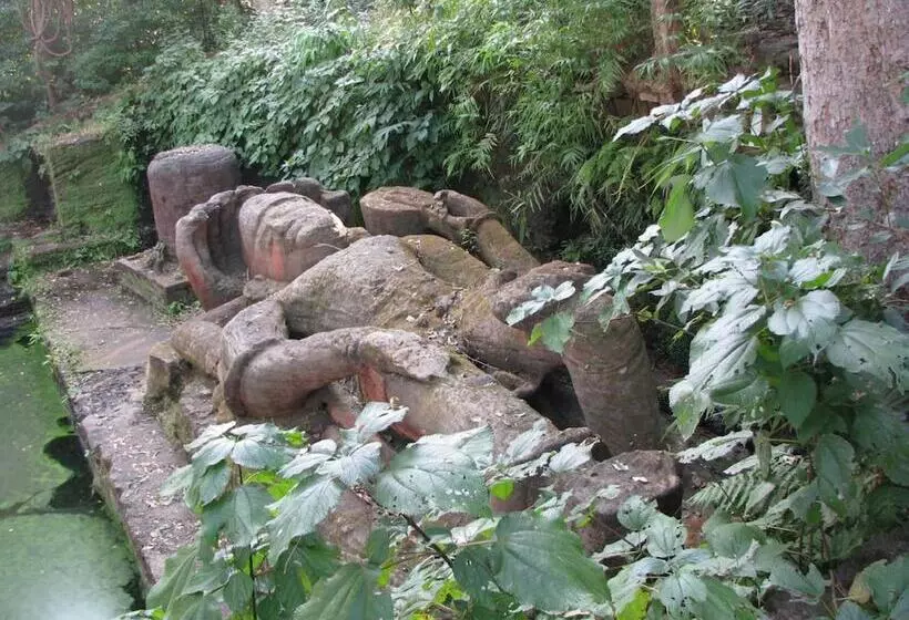 فندق Tiger Trails Resort