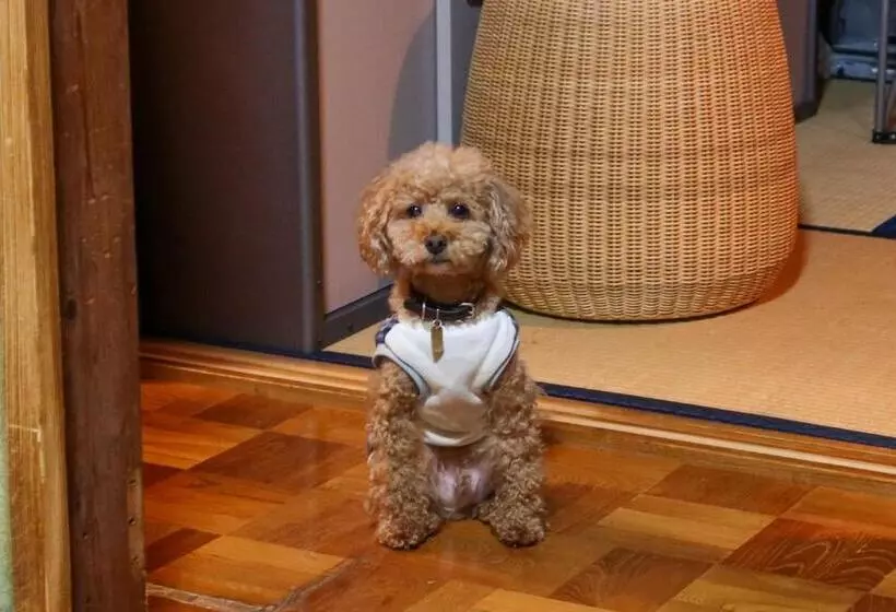 Пансион Guest House Tokiwa