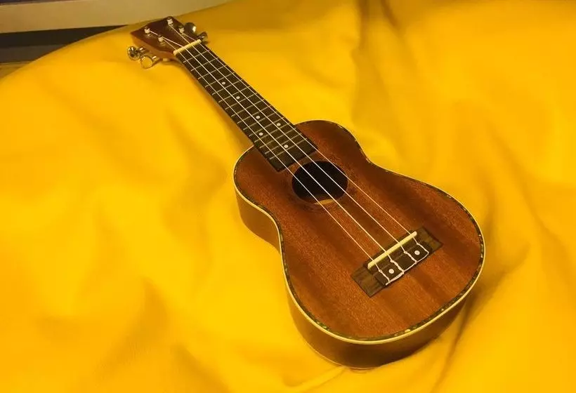 Olive Flashpackers  Hostel