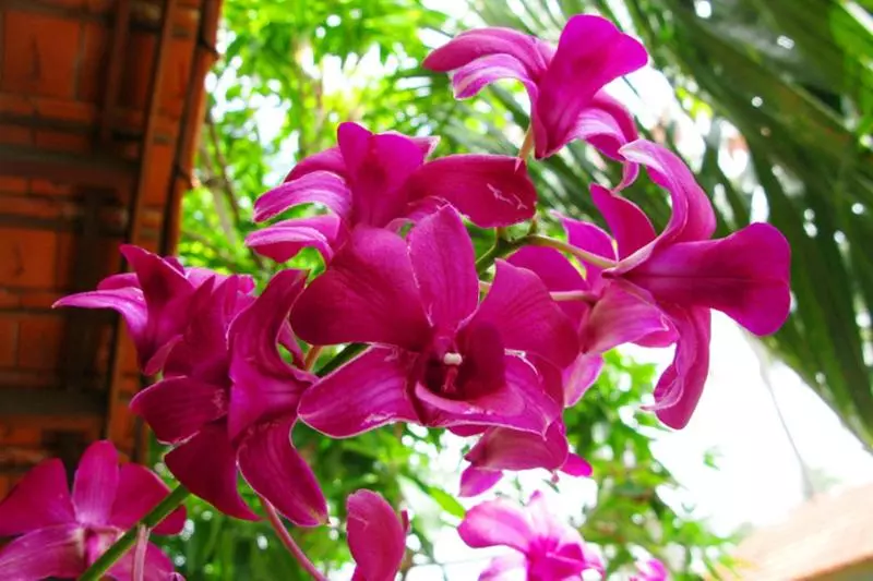 پانسیون Hiep Hoa Resort