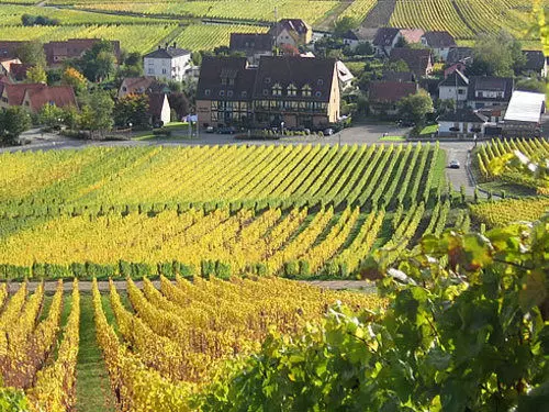 هتل Hôtel Le Riquewihr