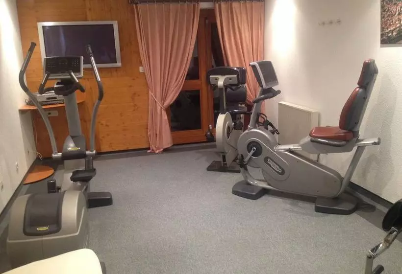 هتل Hôtel Le Riquewihr