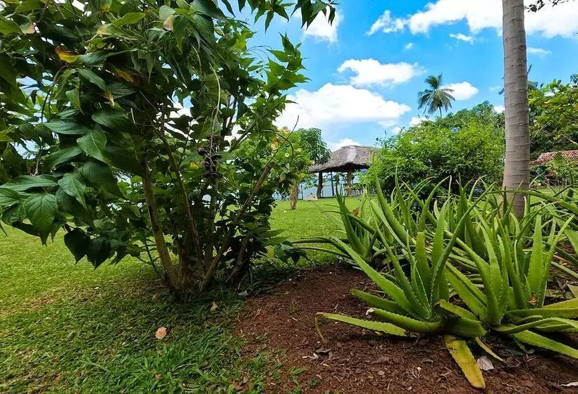 酒店 Thaulle Ayurveda Resort Yala