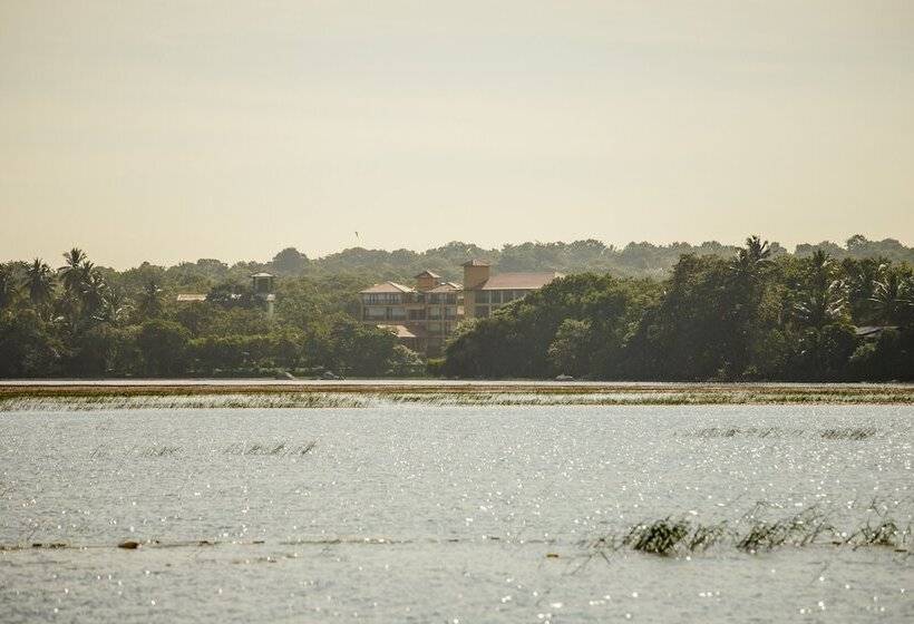 ホテル Thaulle Ayurveda Resort   Yala