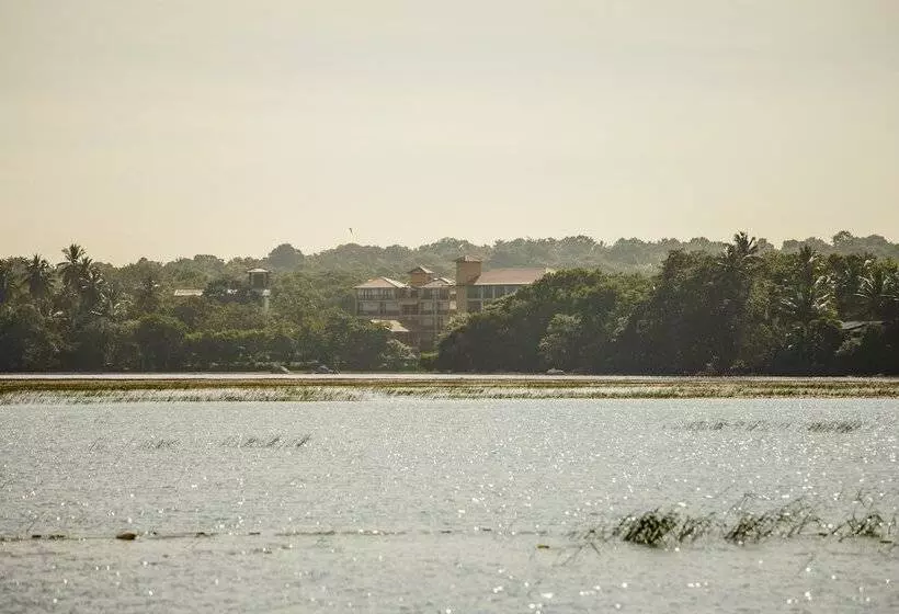 酒店 Thaulle Ayurveda Resort Yala