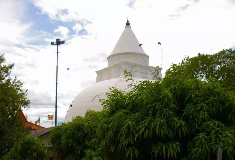 酒店 Thaulle Ayurveda Resort Yala