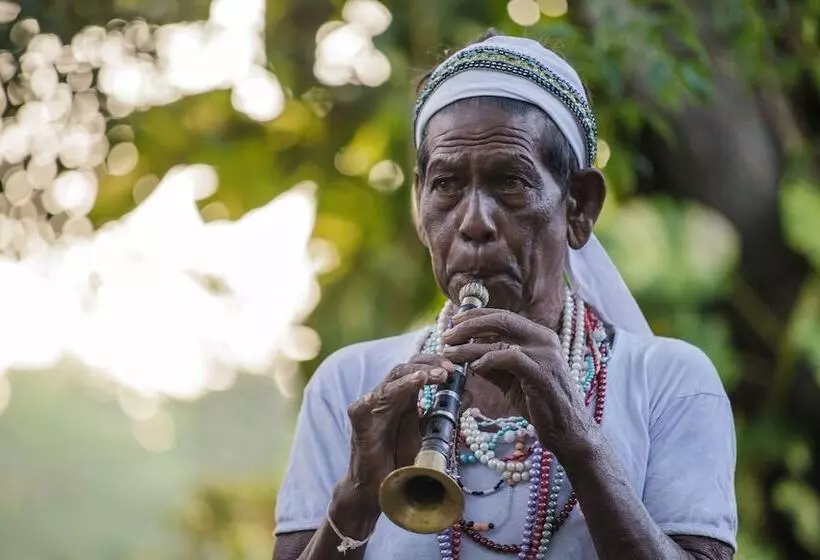 酒店 Thaulle Ayurveda Resort Yala