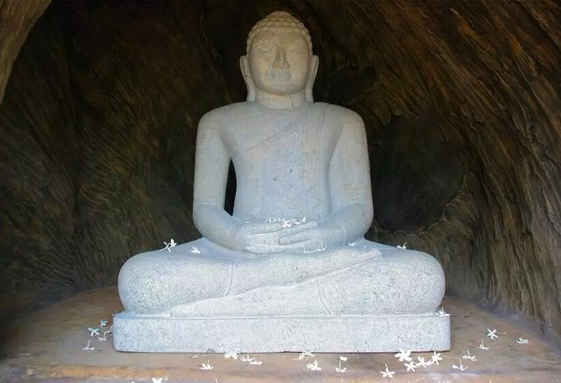 酒店 Thaulle Ayurveda Resort Yala