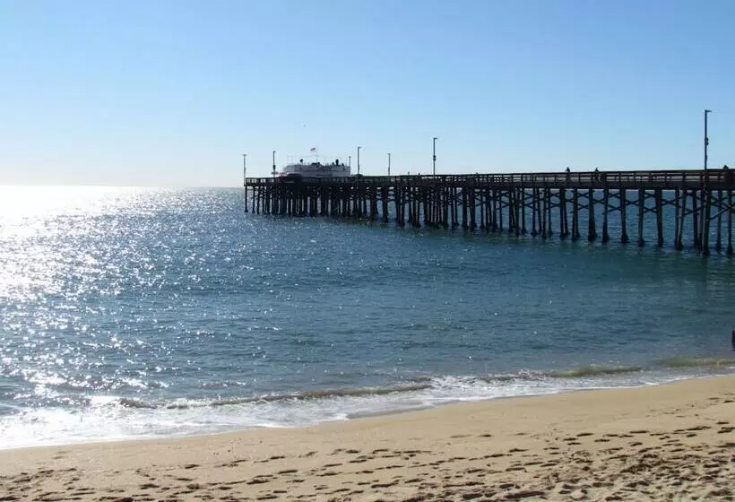 Peach Blossom Across From The Beach