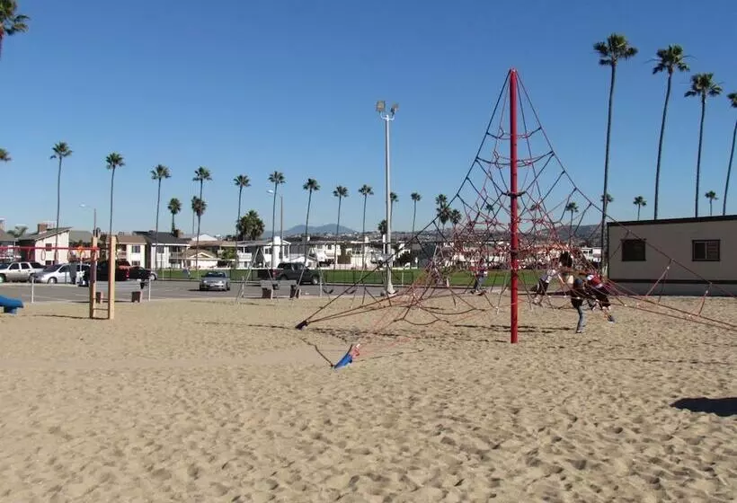 Peach Blossom Across From The Beach