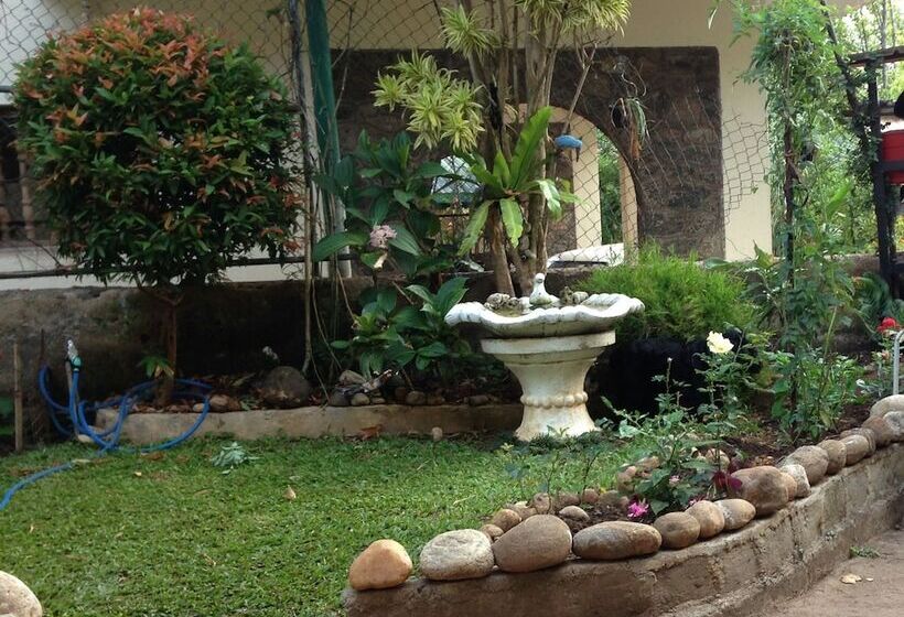 膳宿费 Homely Cottage