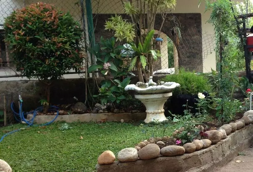 Pensionat Homely Cottage