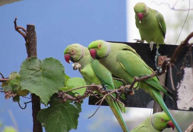 膳宿费 Homely Cottage
