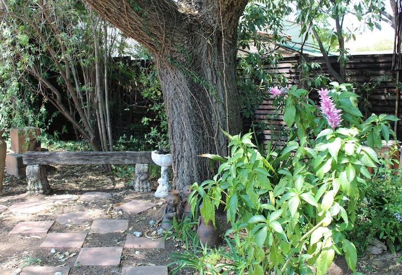 Bed & Breakfast 3 Liebeloft Guest House