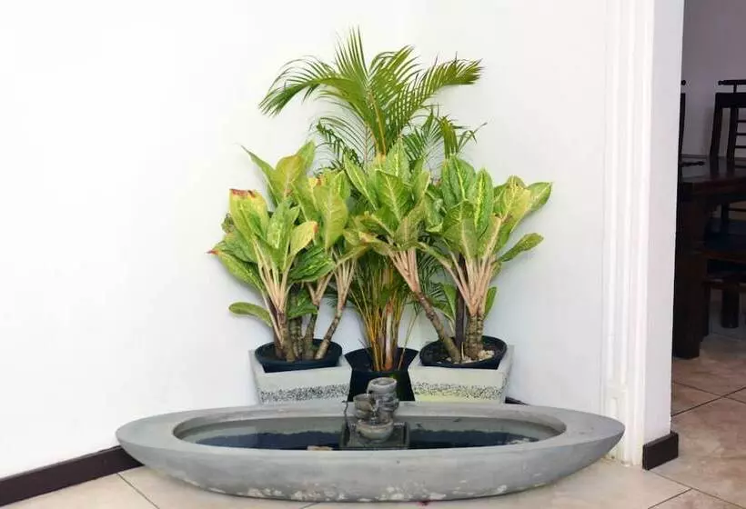 Bed and Breakfast Finlanka Guest