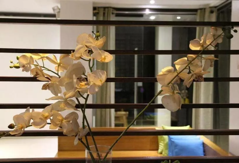 تختخواب و صبحانه Orchid Lagan Place Palawan