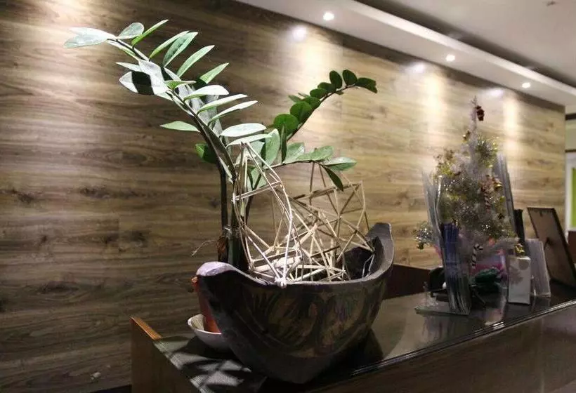 تختخواب و صبحانه Orchid Lagan Place Palawan