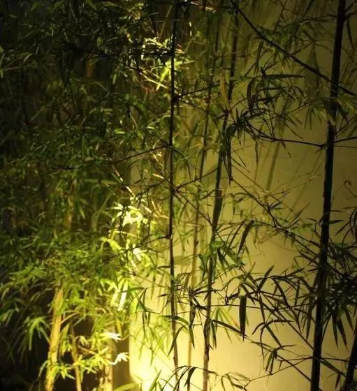 تختخواب و صبحانه Orchid Lagan Place Palawan