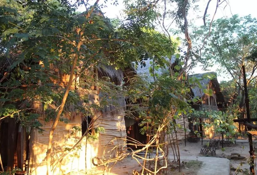هتل Iharana Bush Camp