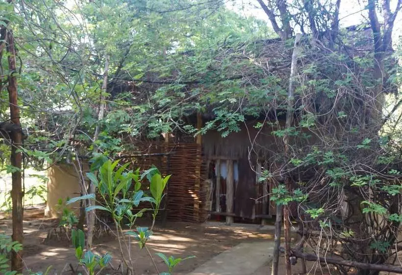 هتل Iharana Bush Camp