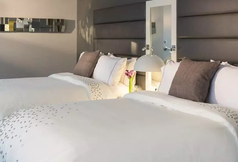 Отель Renaissance Albany