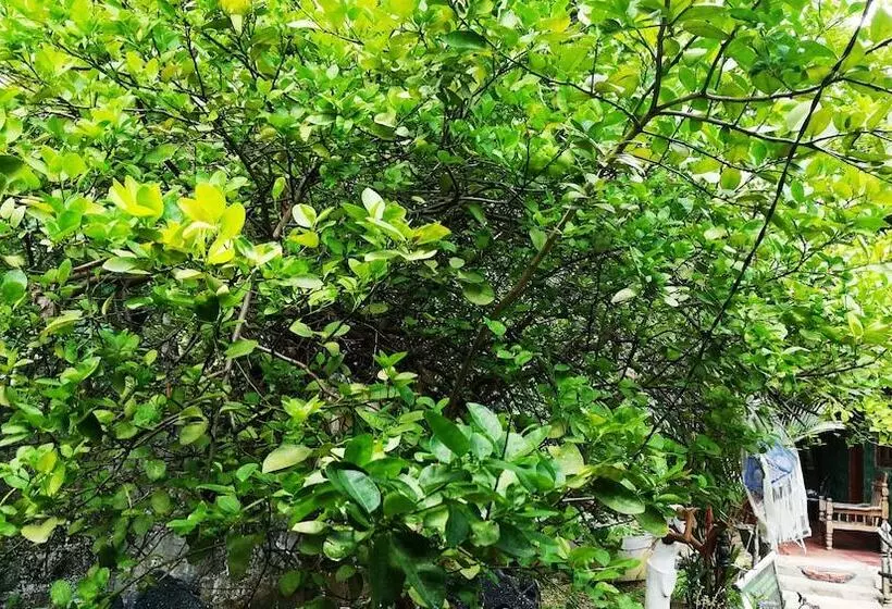 Пансион Blue Sky Guest House