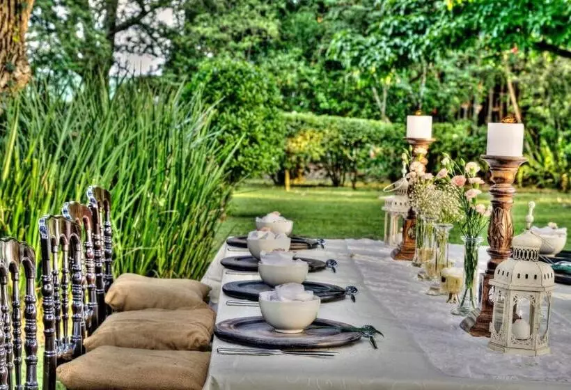 פנסיון Nut Grove Boutique