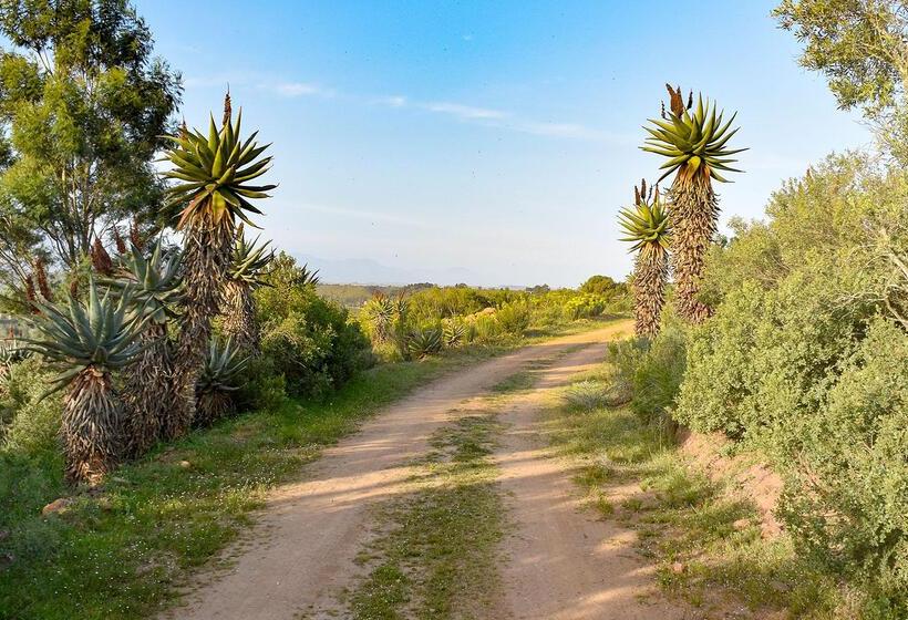 Stonehill River Lodge