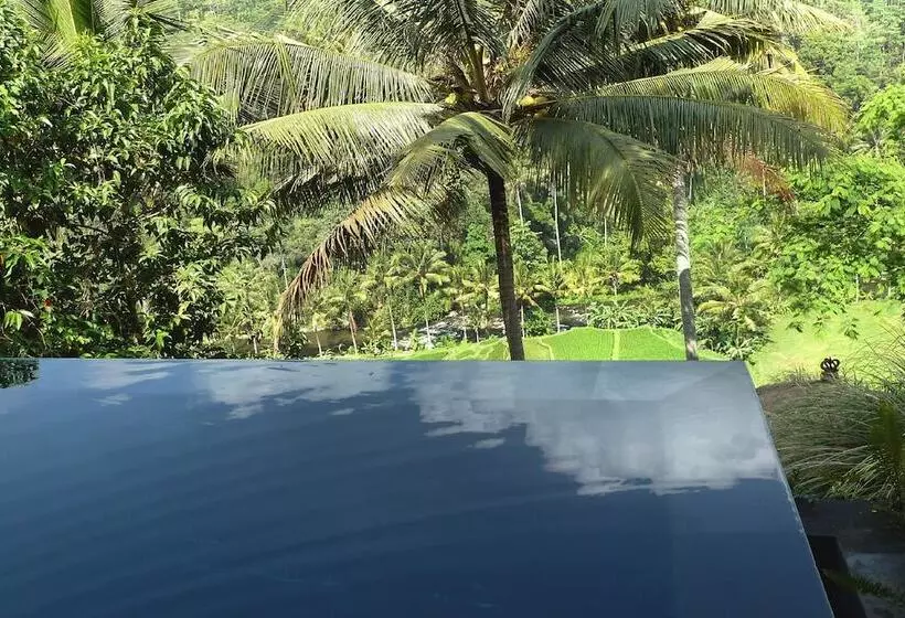 Umah Tampih Luxury Private Villa Chse Certified